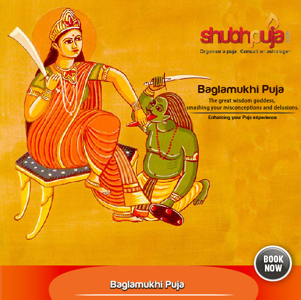 To achieve success in Politics and Administrative fields: Ma Baglamukhi Siddhi Puja