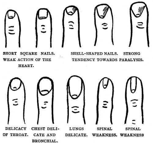 What do your Nails suggest?
