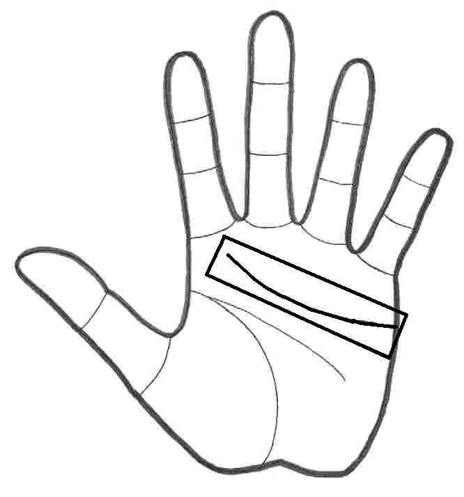 What does your Line of Heart symbolise?