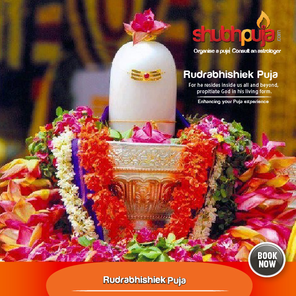 Shivling Abhishek or Rudrabhishiek Puja