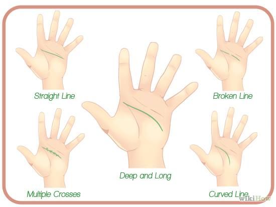 Highlights of your Special Hand
