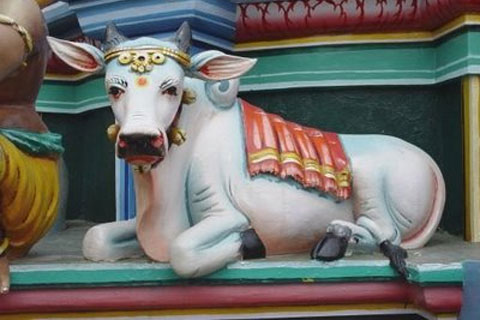 Attitude of Generosity: Our Sacred Cows