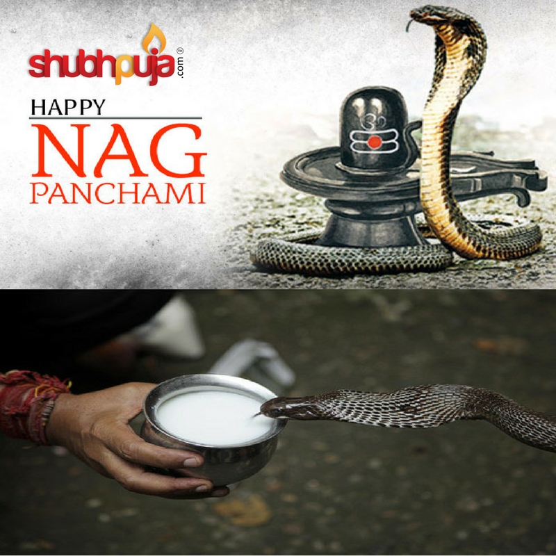 ❄️ Happy Nag Panchami ❄️